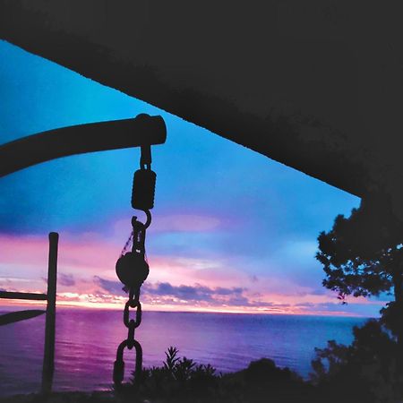 Studio Vue Sur Mer Конка Екстер'єр фото