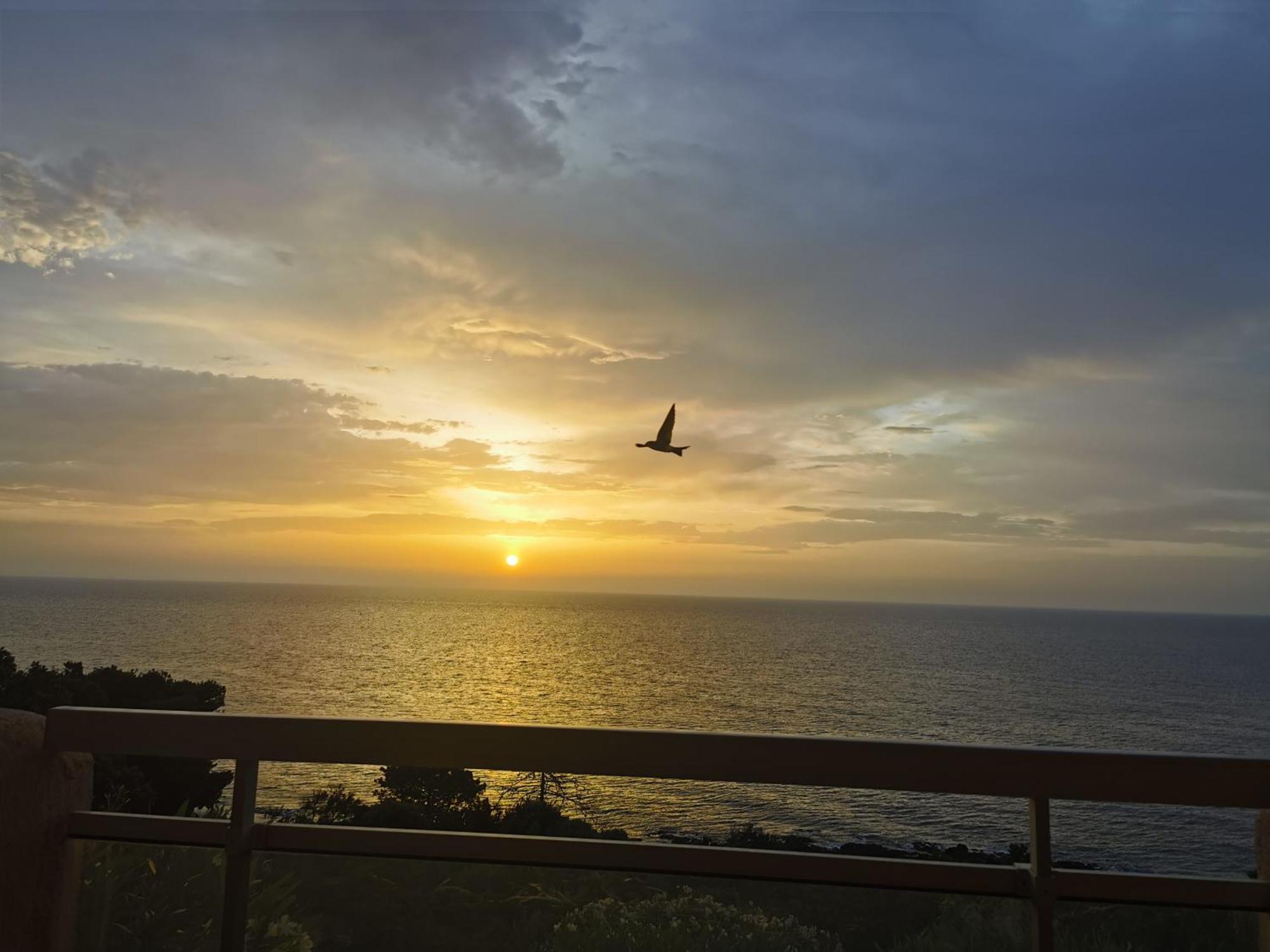 Studio Vue Sur Mer Конка Екстер'єр фото