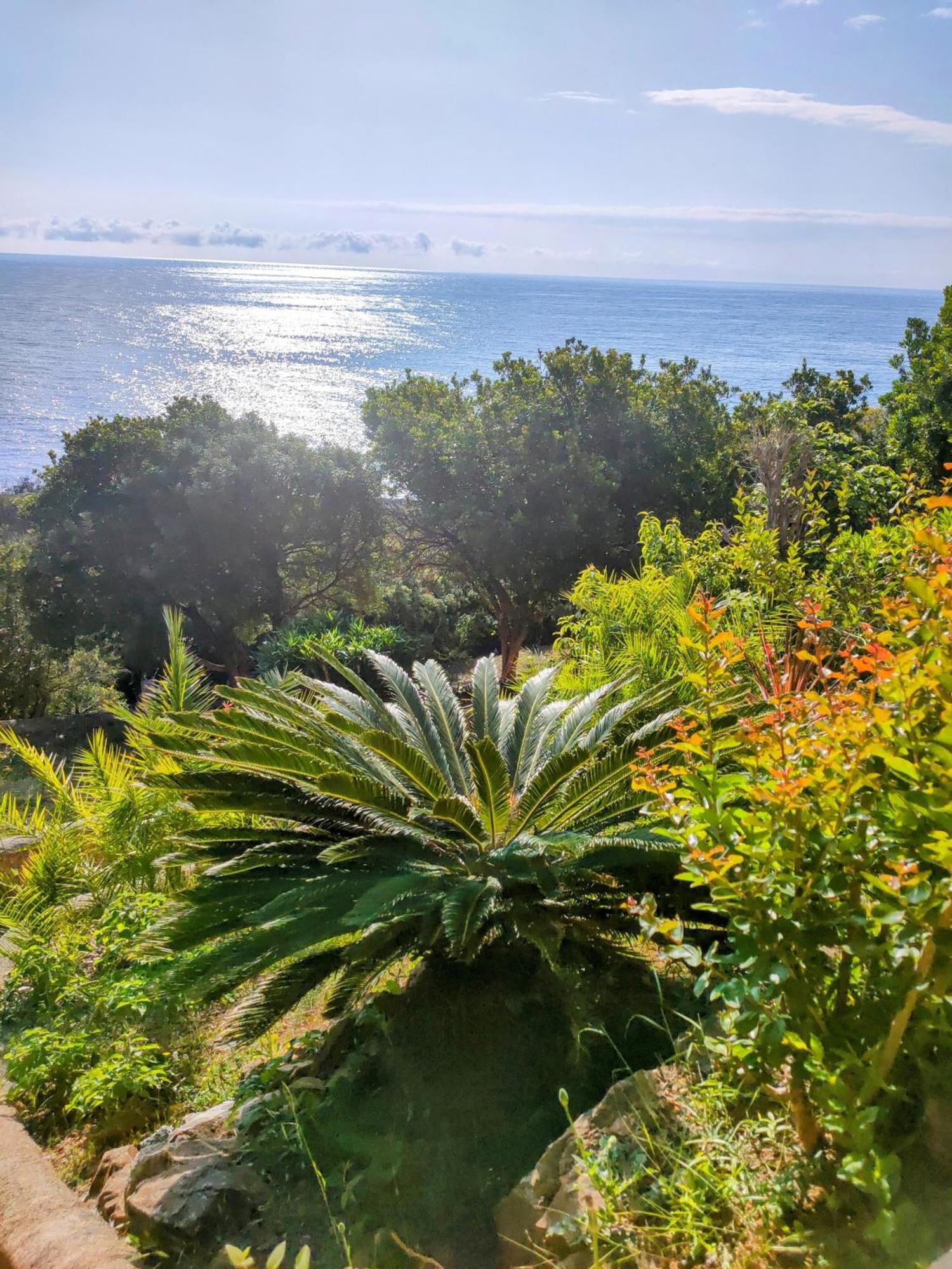 Studio Vue Sur Mer Конка Екстер'єр фото
