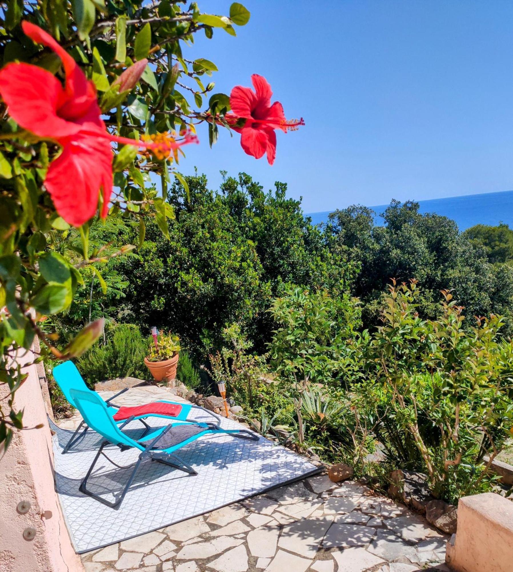 Studio Vue Sur Mer Конка Екстер'єр фото
