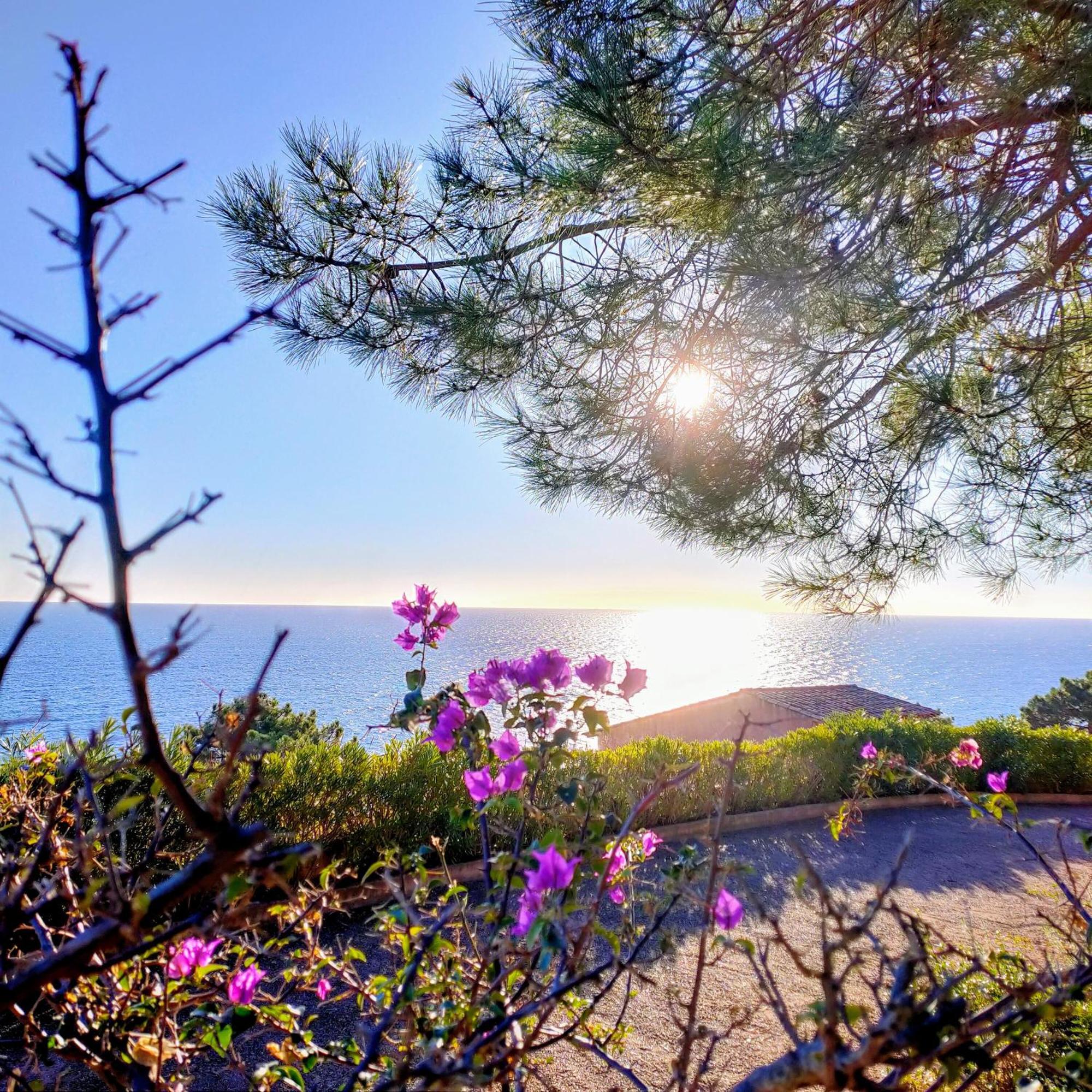 Studio Vue Sur Mer Конка Екстер'єр фото