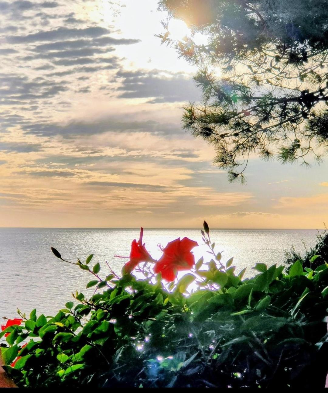 Studio Vue Sur Mer Конка Екстер'єр фото